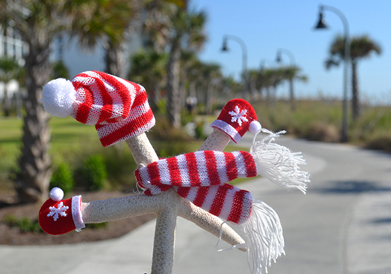 Beach Assortment Package