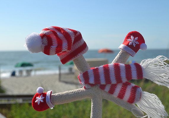 Beach Assortment Package