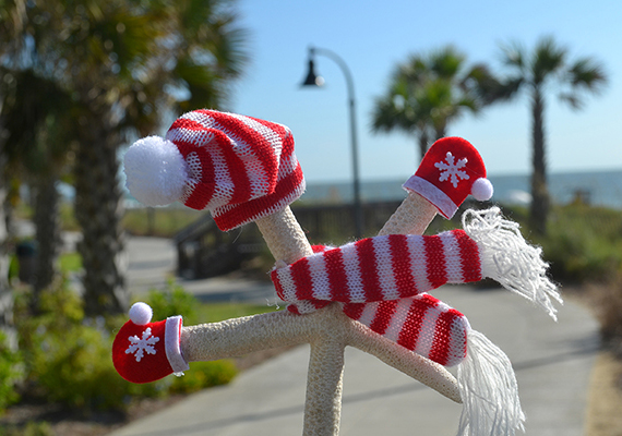 Beach Assortment Package