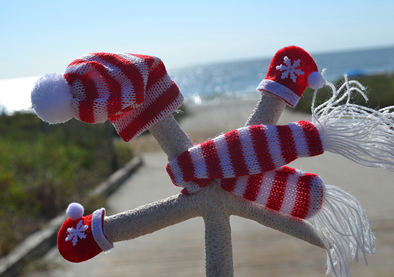 Beach Assortment Package