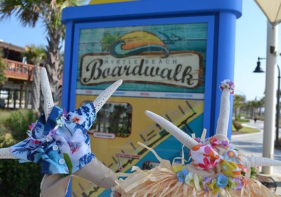 Beach Assortment Package