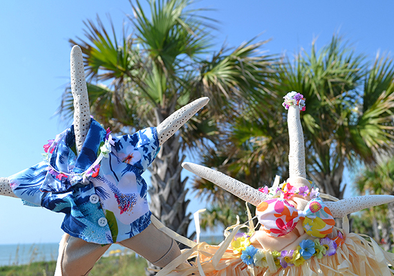 Beach Assortment Package