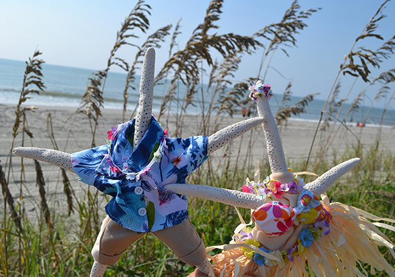 Beach Assortment Package