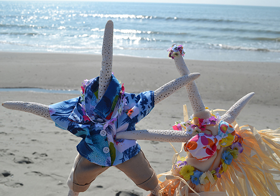 Beach Assortment Package
