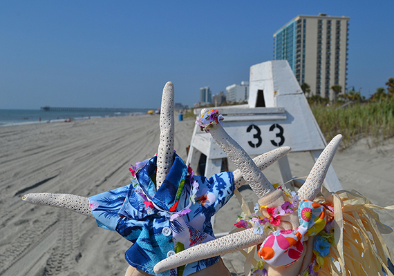 Beach Assortment Package