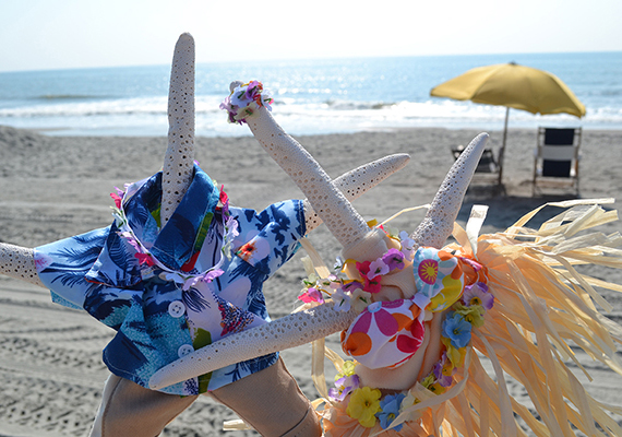 Beach Assortment Package