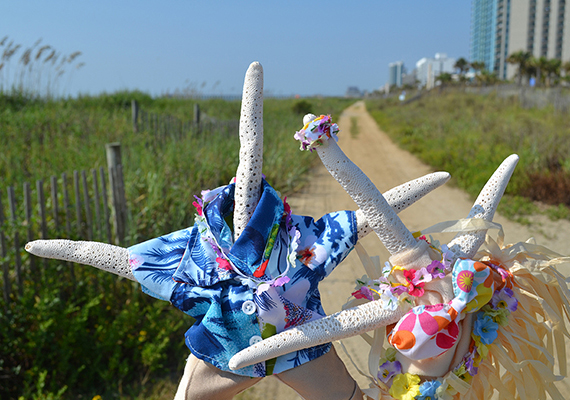 Beach Assortment Package