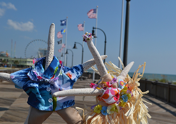 Beach Assortment Package