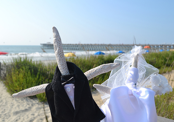Beach Assortment Package