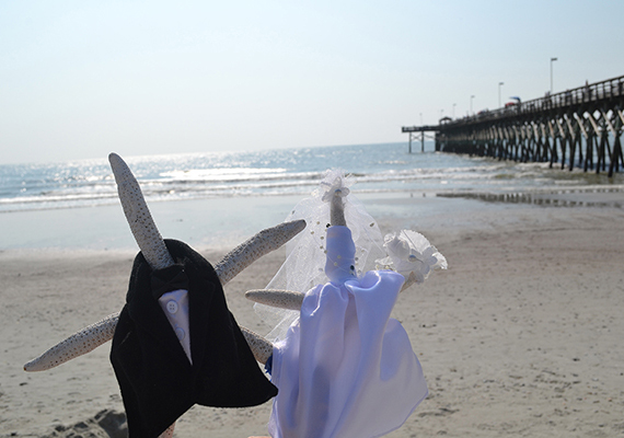 Beach Assortment Package