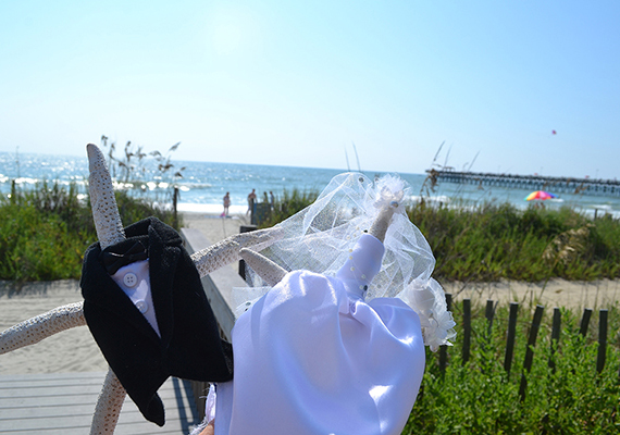 Beach Assortment Package