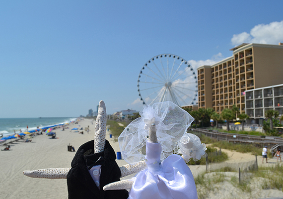 Beach Assortment Package