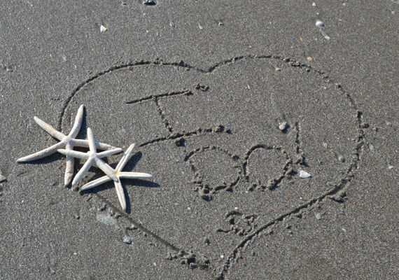 Sandy Special Package