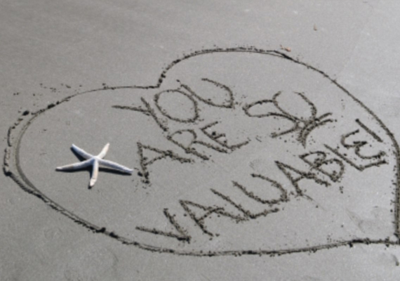 Sandy Special Package