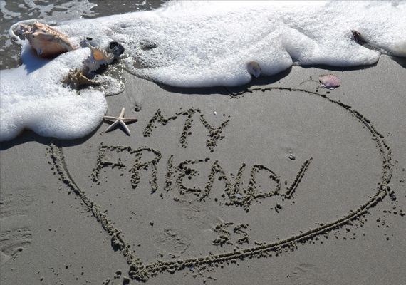 Beach Assortment Package